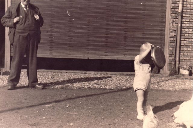 Vader Theo leidde Jan op in het juist omgaan met agressieve kippen.